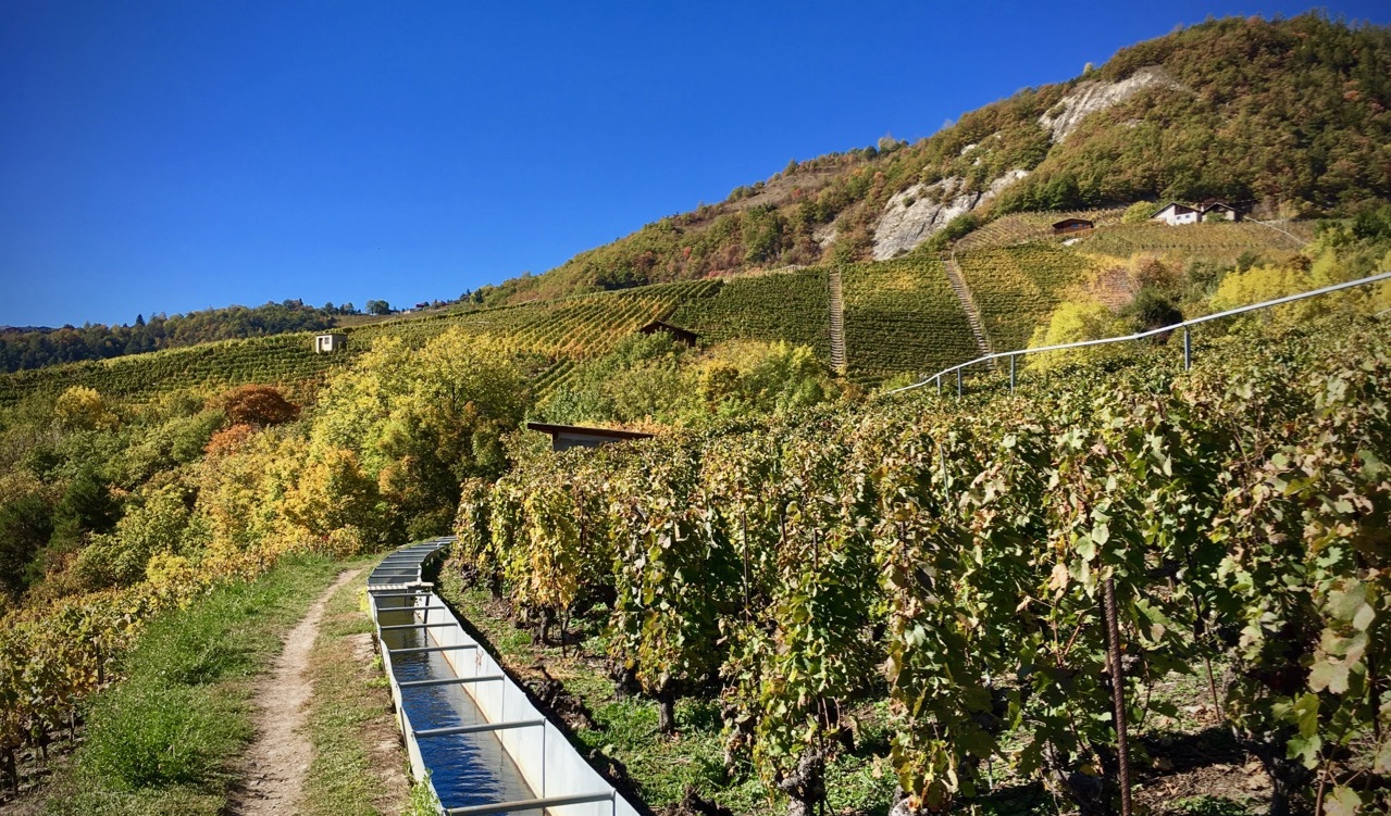 20171011-diverge-bisses-header