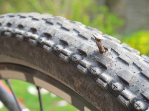 20100418_crevaison 4