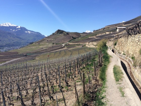 Le bisse de Clavau lors de ma sortie du 10 avril 2014.