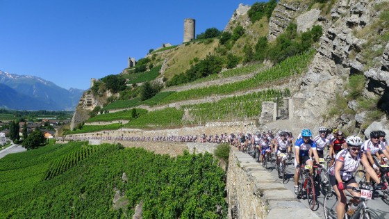 Passage du peloton sous la tour de Saillon lors de l'édition 2013. (Photo Cyclosportive des Vins du Valais)