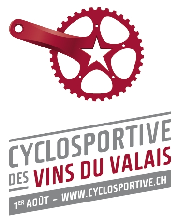 Maillot Cycliste Texner Cyclosportive Des Vins Du Valais - Homme, Taille L, état Excellent