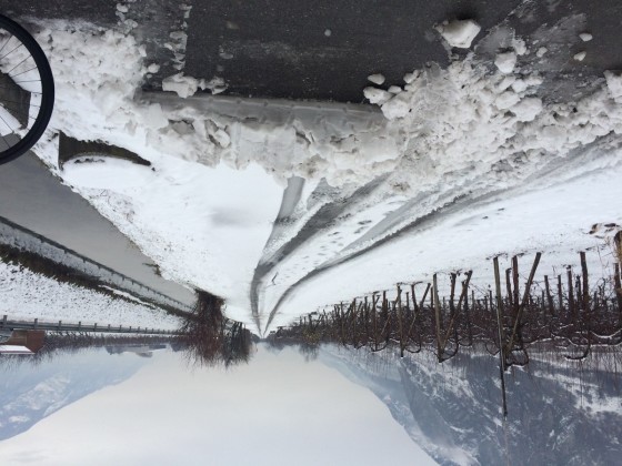 La route en rive droite du canal Saillon-Fully est l'axe conseillé par la commune de Fully pour les élèves du cycle d'orientation. Au moment de la photo, les autres routes sont déneigées... (8 janvier 2016)