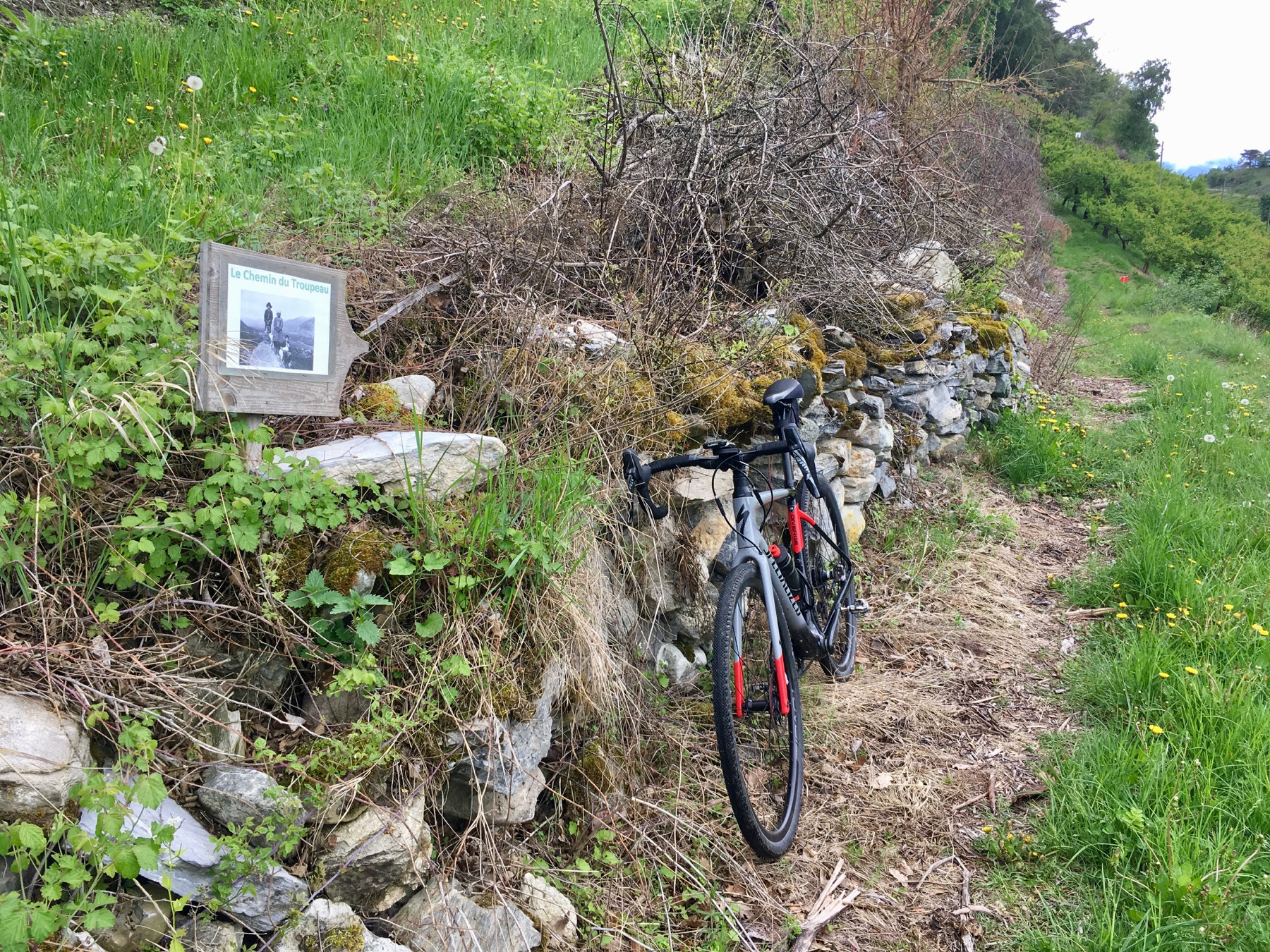 gravel-chemin-du-troupeau - 2