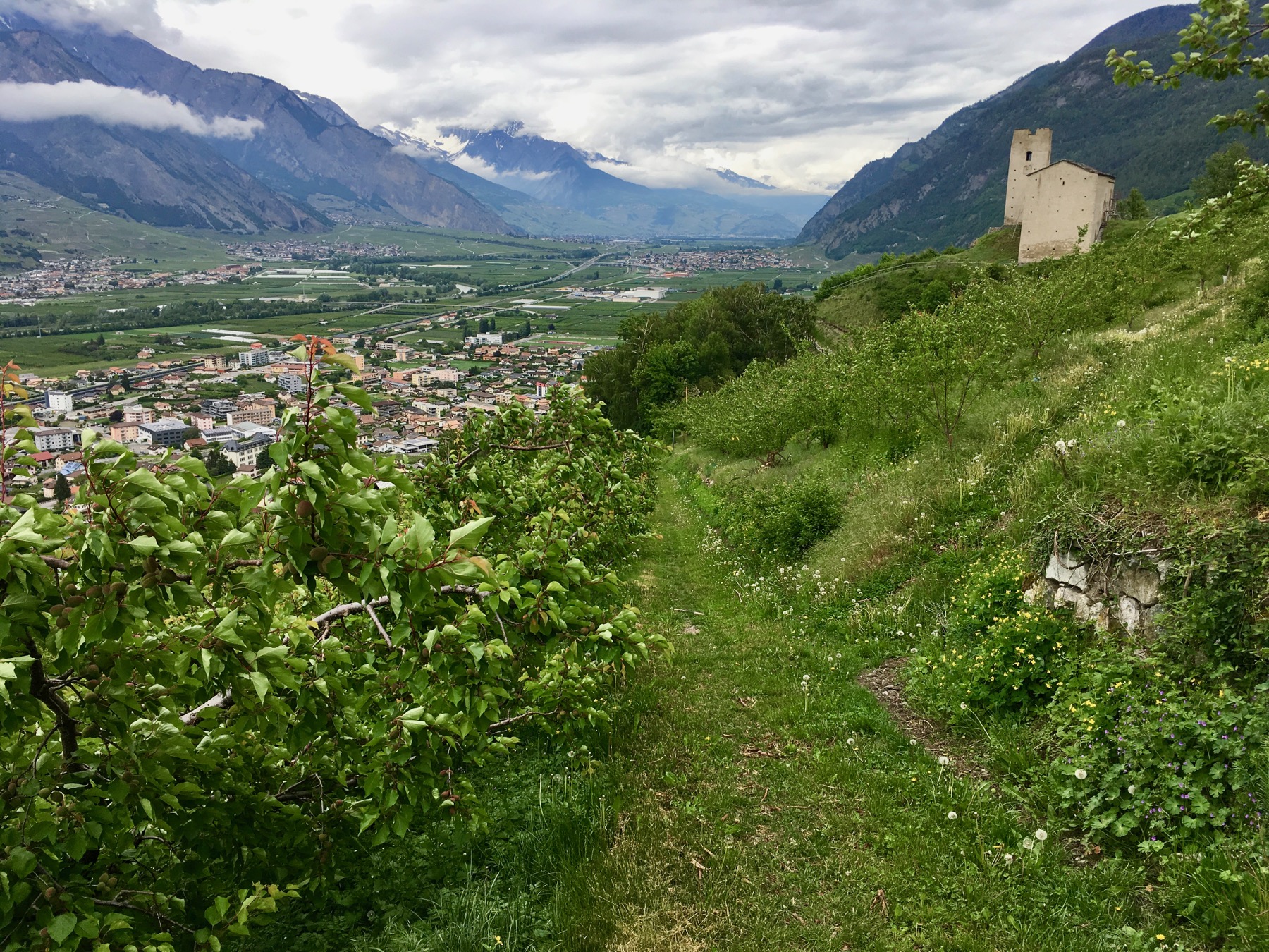 gravel-chemin-du-troupeau - 5