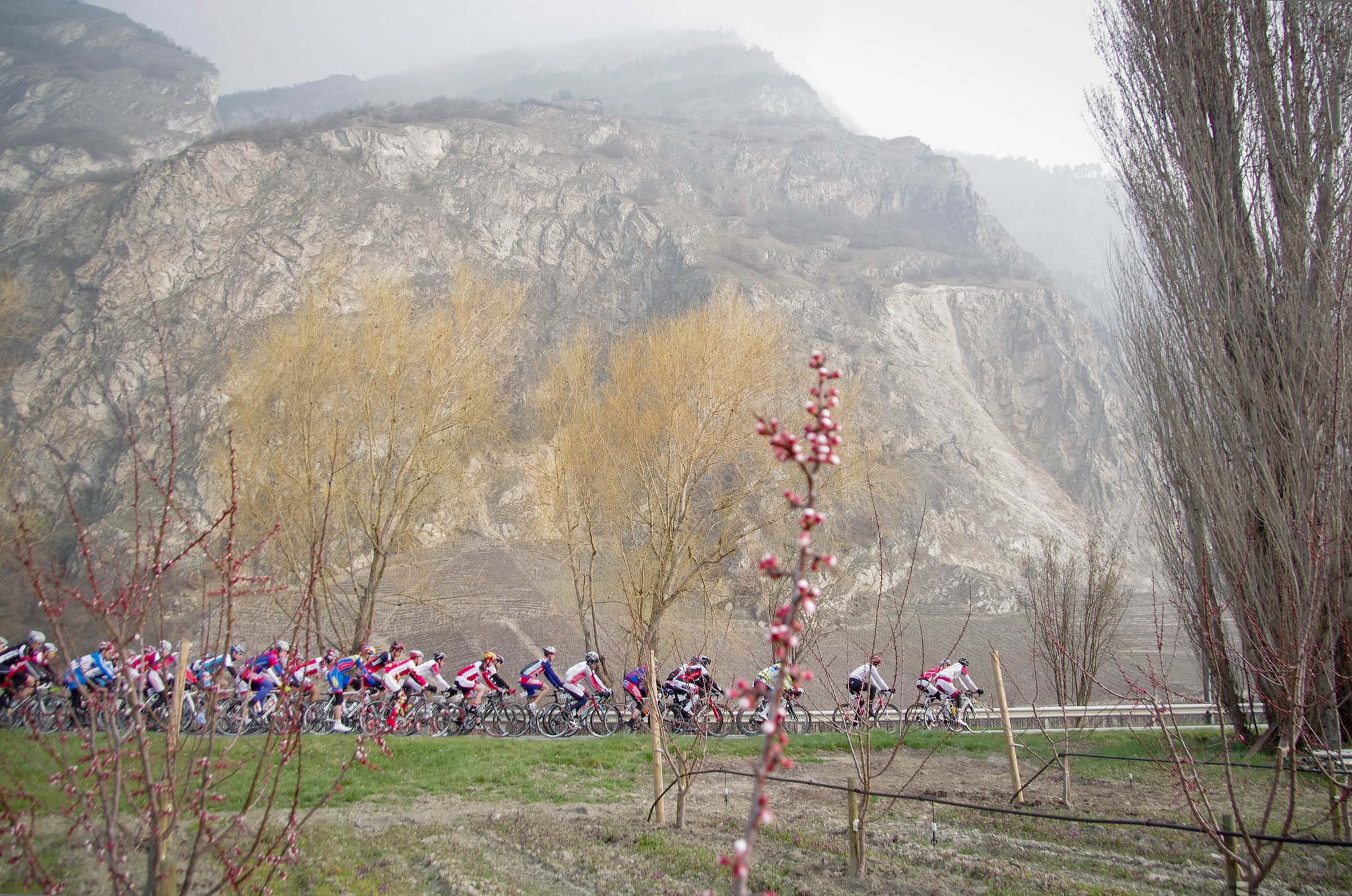 valloton-2013