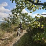 Strava, Komoot, Alltrails… Quelle application pour découvrir une région à vélo?